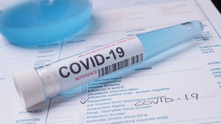 covid-19 cases in india delhi high court