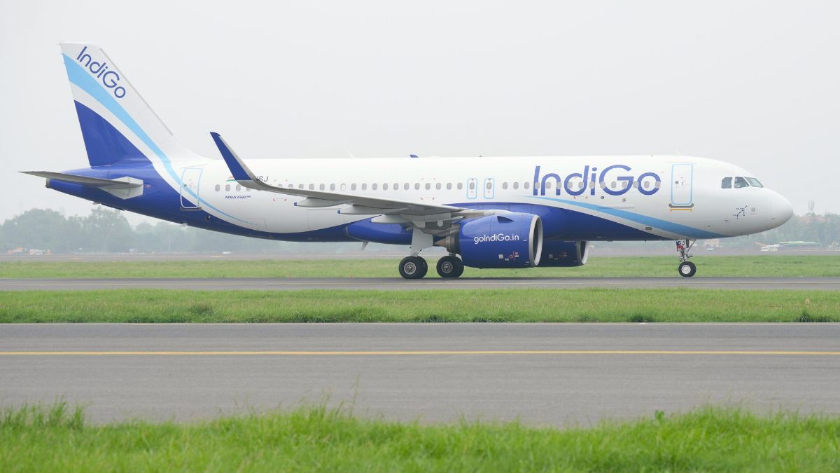 indigo flight dgca