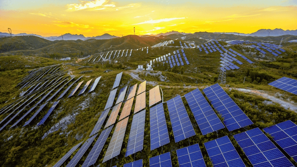 Servotech shares rally after solar project win and visit from Errol Musk, father of Elon Musk