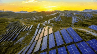 Servotech shares rally after solar project win and visit from Errol Musk, father of Elon Musk