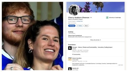 Cherry Sheeran’s LinkedIn profile goes viral on X. (Image Source: X and Linkedin)