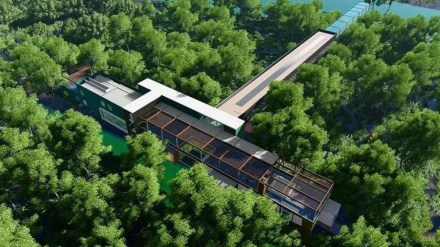 India's first mangrove park, mumbai mangrove park, mangrove park in mumbai, mumbai news, mumbai mangroves