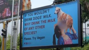 peta dog milk ad, peta india vegan ad, peta vegan ad, peta ad controversy, peta india vegan ad