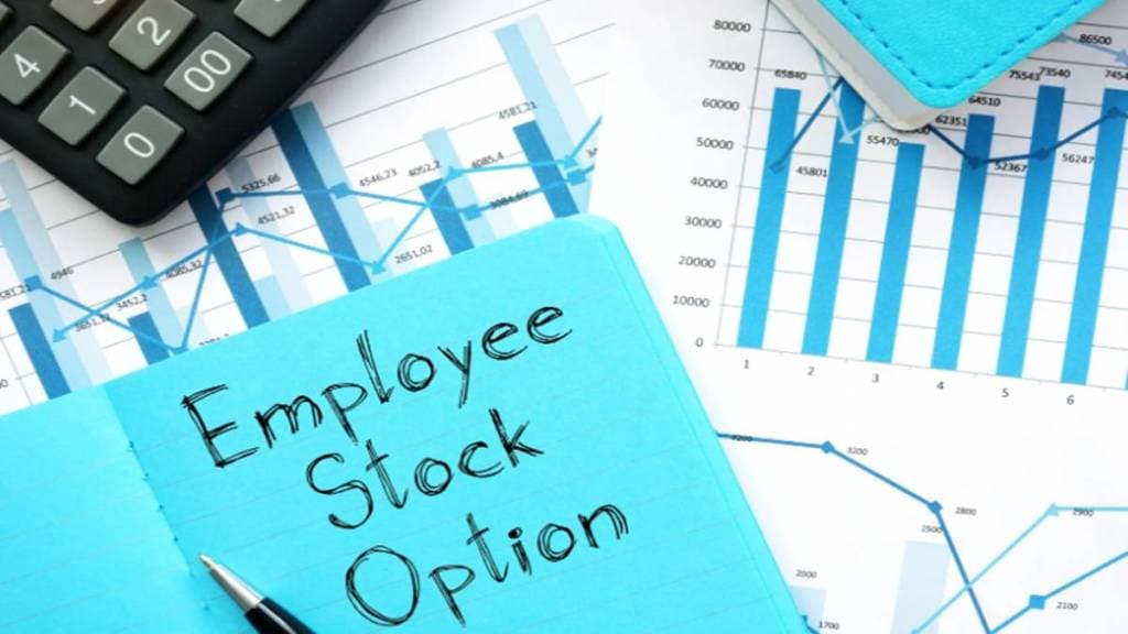 Parag Parikh valuation