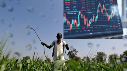 Specialty fertiliser stocks India, China fertiliser export ban India, best fertiliser stocks 2025, Deepak Fertilisers share, UPL stock news, Nagarjuna Fertilizers stock, fertiliser sector stocks India, agriculture stocks to watch, specialty nutrients India, fertiliser industry growth India