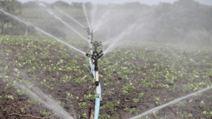 irrigation, agriculture, agri-economy, Farmers, groundwater,
