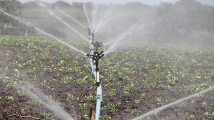 irrigation, agriculture, agri-economy, Farmers, groundwater, irrigation, agriculture, agri-economy, Farmers, groundwater,