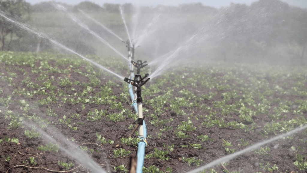 irrigation, agriculture, agri-economy, Farmers, groundwater,