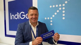 aviation, airways, indigo, air india, airways, Indigo ceo, Tata Group