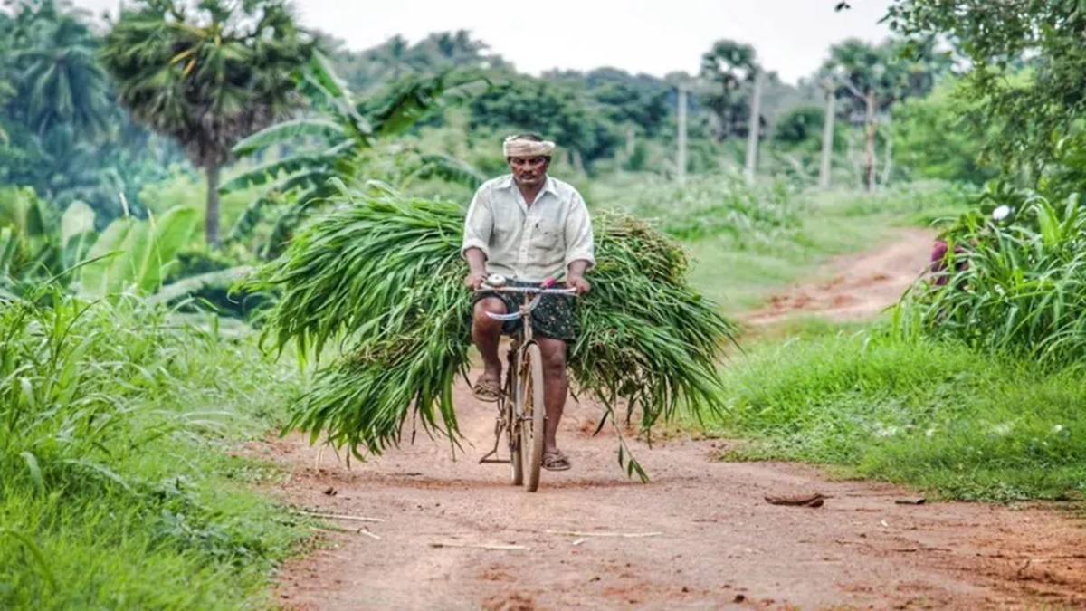 agriulture, agriculture sector, economy, agri-economy, McKinsey