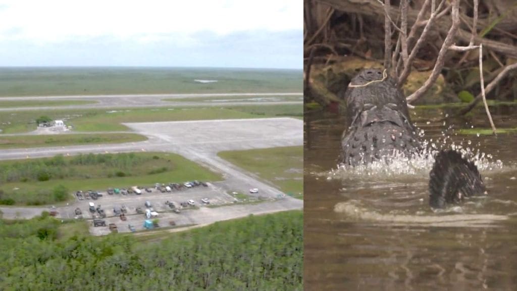 Alligator Alcatraz - Florida detention centre Alligator Alcatraz - Florida detention centre