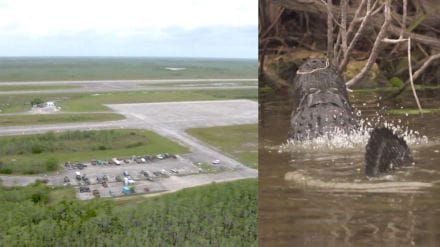 Alligator Alcatraz - Florida detention centre Alligator Alcatraz - Florida detention centre