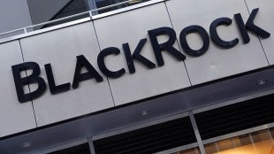 BlackRock, asset management, fundraising, acquisition, market cap, private markets, revenue growth, Donald Trump, business model