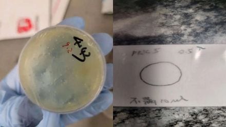 Chinese researcher Chengxuan Han Chinese researcher Chengxuan Han