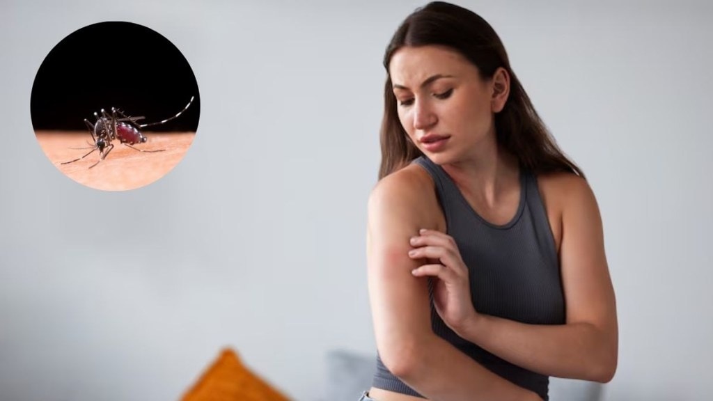 Mosquito-borne diseases due to rains