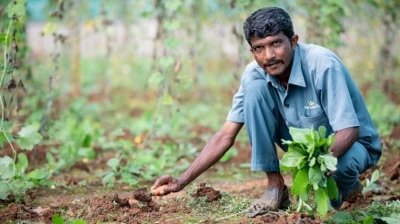 PM Kisan Samman Nidhi Yojana: When is the 20th installment releasing? Check date, beneficiary details and more