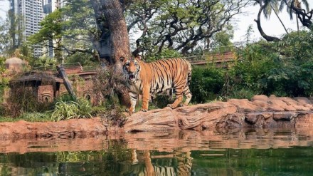 Delhi Zoo partners with Vantara to strengthen animal care and staff training