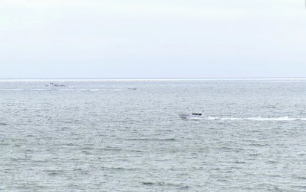 San Diego Plane Crash: All 6 passengers killed after small aircraft plummets into ocean (Photo: KGTV via AP)