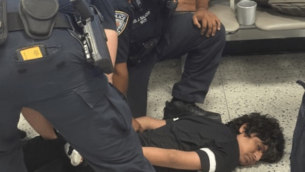 The Indian national, whose identity has now been revealed, had illegally entered the United States when he was detained.