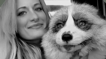 Mikayla Raines SaveAFox Mikayla Raines SaveAFox