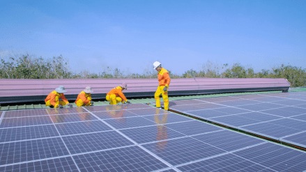 maruti suzuki, industry, solar, green power, RE, solar units maruti suzuki, industry, solar, green power, RE, solar units