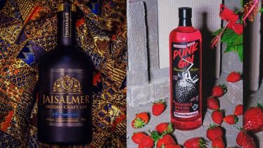 Best Indian gins