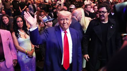 Donald Trump UFC 316