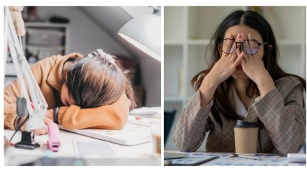 Why are Gen-Z ‘crashing out’? Experts concerned about this worrisome trend