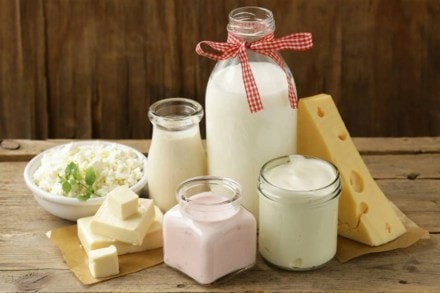 Ananda Dairy’s supply chain bet that’s paying off across 16 states