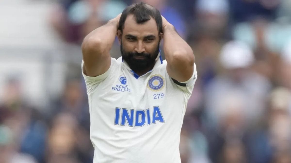 mohammad shami divorce alimony