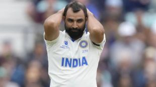 mohammad shami divorce alimony