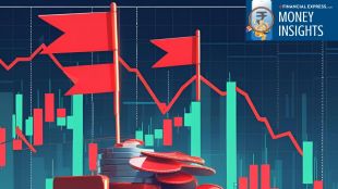 SIP portfolio