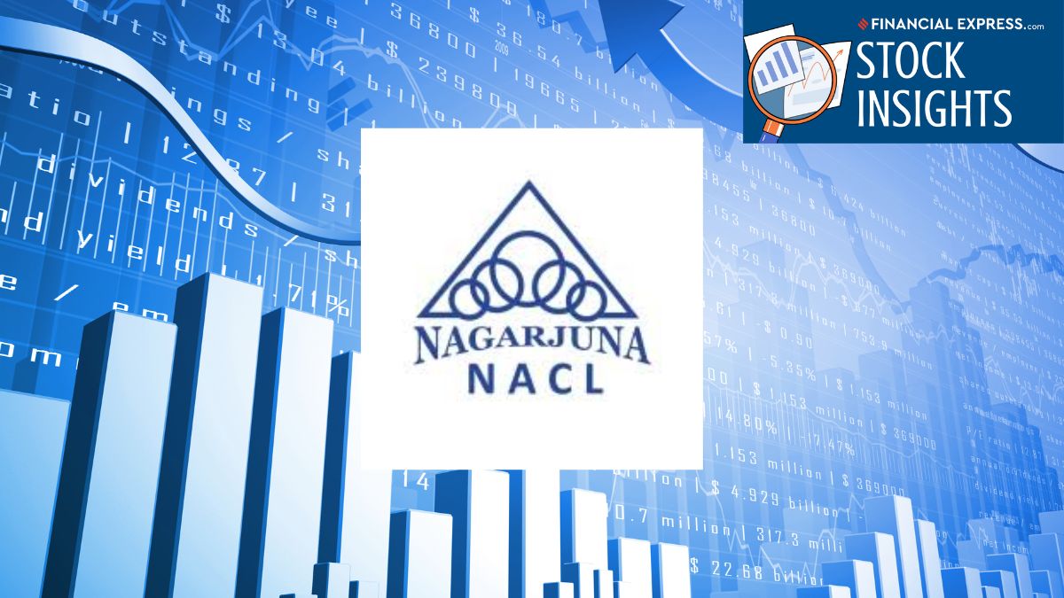 Nagarjuna Industries NACL stock price