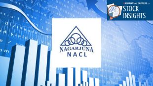 Nagarjuna Industries NACL stock price