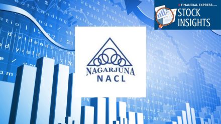 Nagarjuna Industries NACL stock price