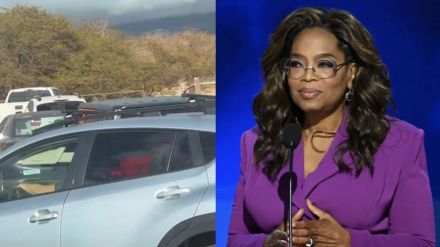 oprah winfrey hawaii oprah winfrey hawaii