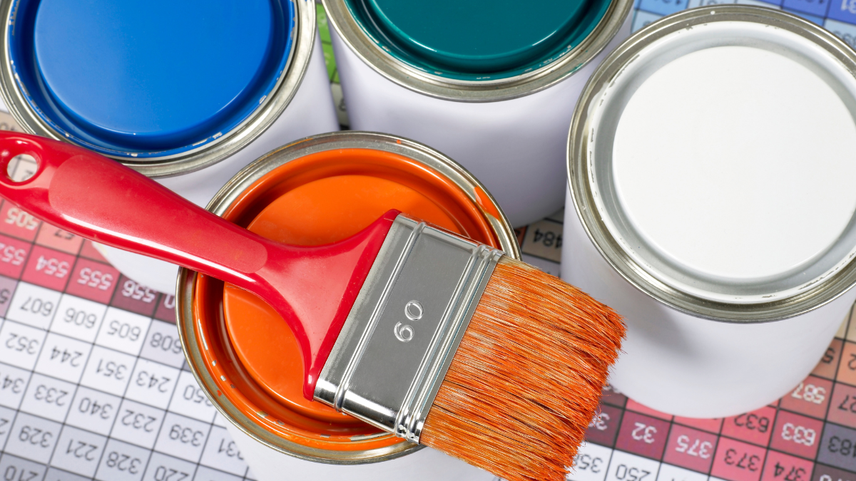 paint paint