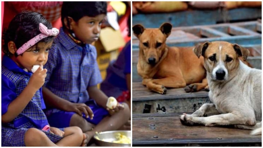 meals for dogs in Bengaluru meals for dogs in Bengaluru