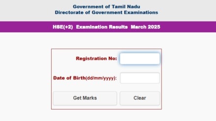 TN HSE +2 12th Supplementary Result 2025 at tnresults.nic.in Highlights: