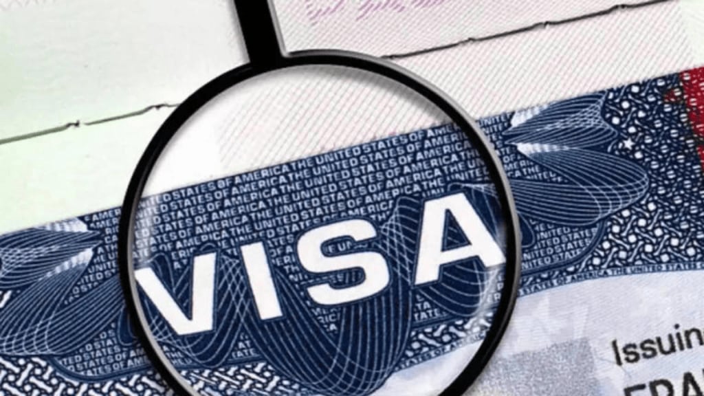 H-1B visa, F-1 OPT