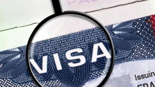 H-1B visa, F-1 OPT
