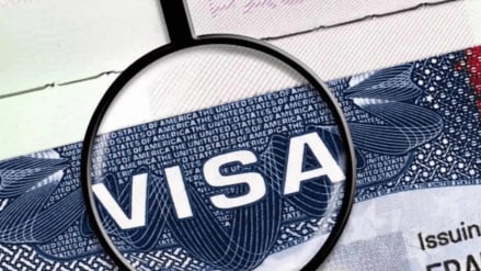 H-1B visa, F-1 OPT