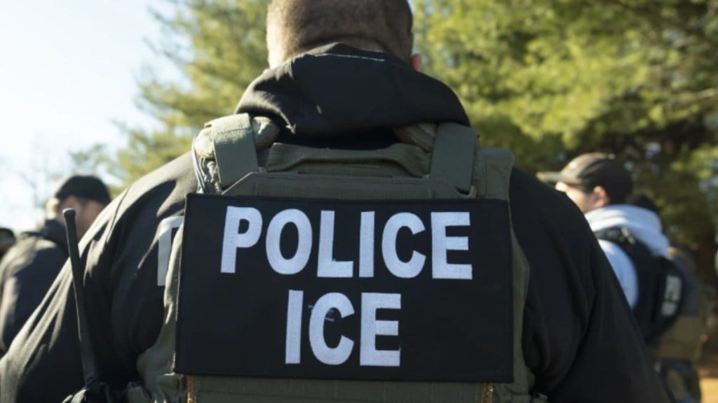 ICE agents - US Citizen detained