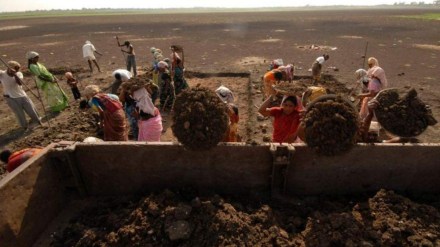 mgnrega, shivraj singh chouhan, rajya sabha question hour, rajya sabha, parliament, india news mgnrega, shivraj singh chouhan, rajya sabha question hour, rajya sabha, parliament, india news