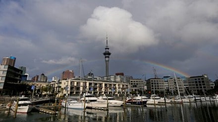 Study in New Zealand, New Zealand work hours, New Zealand student visa, international students, work rights, New Zealand immigration rules,