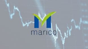 FMCG, Marico, volume growth, revenue growth, inflation, margins, price hike, input costs, copra prices, gross margin, Saffola Oil, Parachute, Value Added Hair Oils
