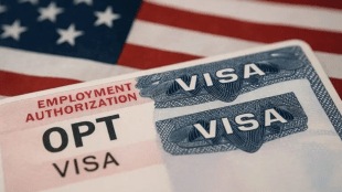 STEM OPT, H-1B visa