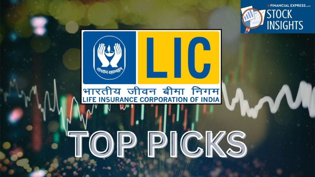 LIC's Top Equity Bets - Growth or Preservation in a High Market? (Image Source: Canva)