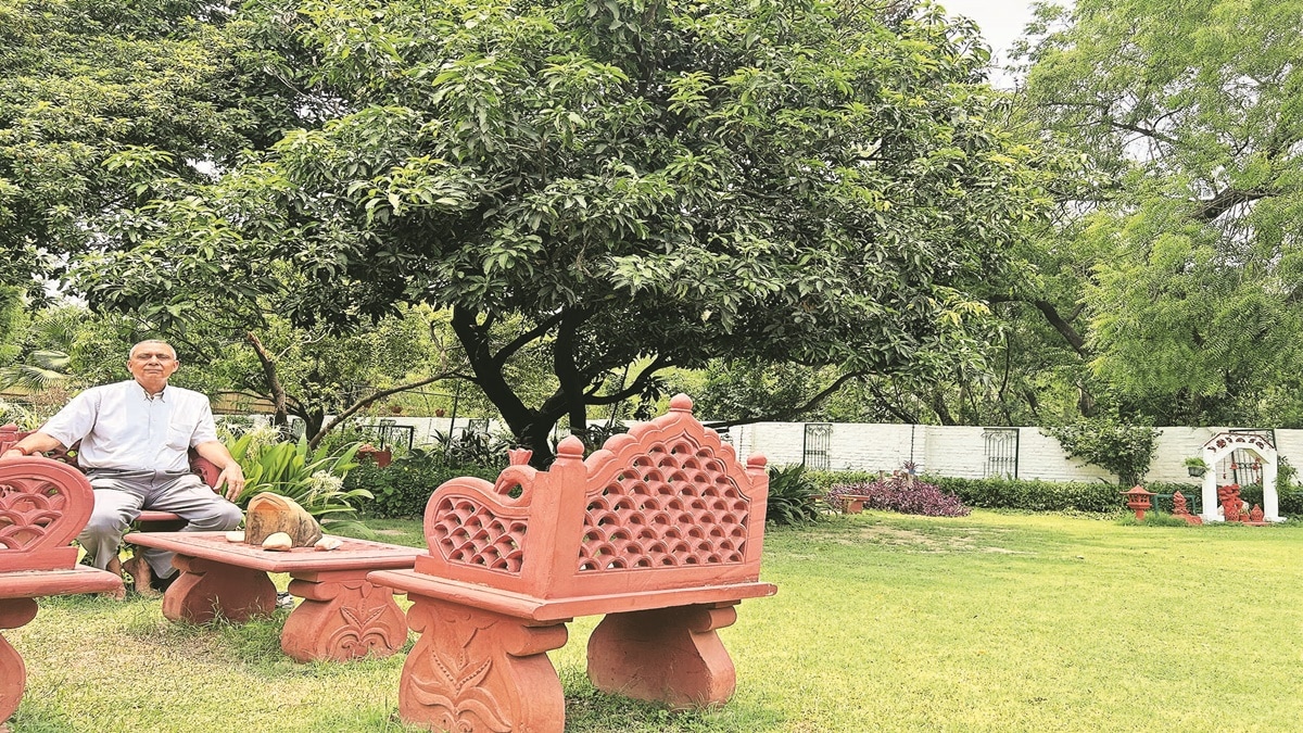 part-time jobs, advisory gigs, entrepreneurship, infrastructure, energy, manufacturing, healthcare, social impact, BFSI