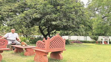 part-time jobs, advisory gigs, entrepreneurship, infrastructure, energy, manufacturing, healthcare, social impact, BFSI part-time jobs, advisory gigs, entrepreneurship, infrastructure, energy, manufacturing, healthcare, social impact, BFSI